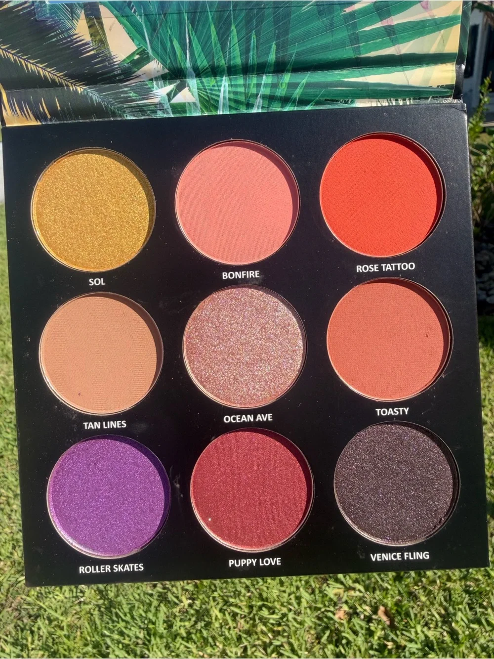 VENICE FLING Bailey Sarian X Estate  Eyeshadow Palette